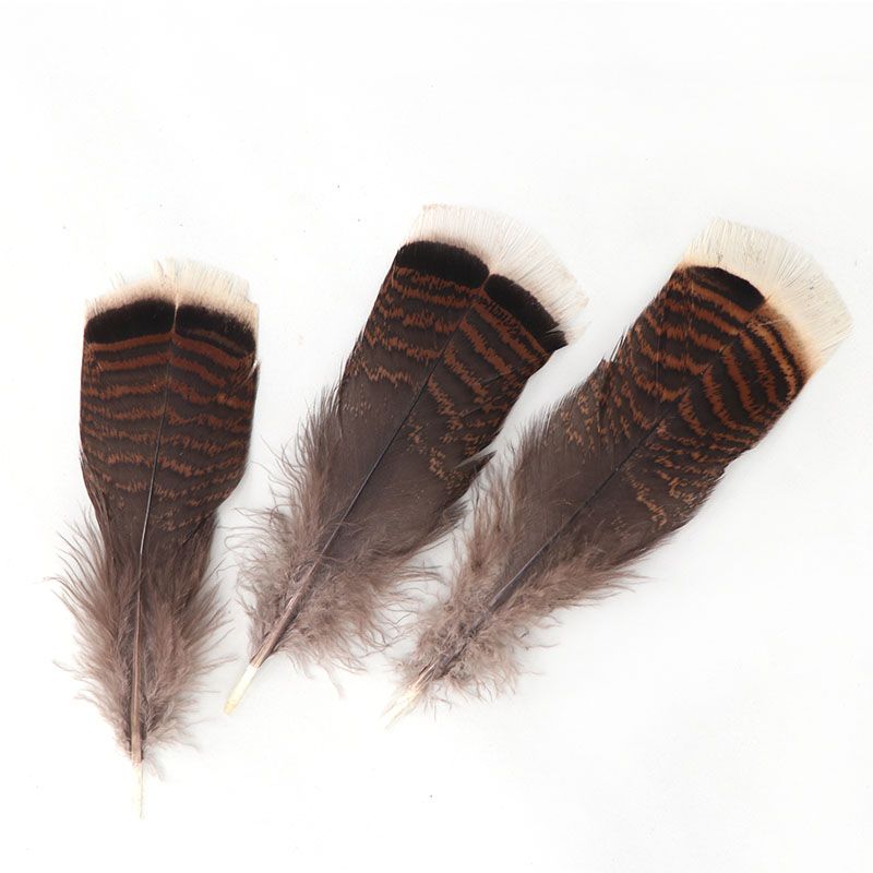 花火鸡羽毛天然纹路黑咖色15-20cm火鸡毛饰品配饰详情图2