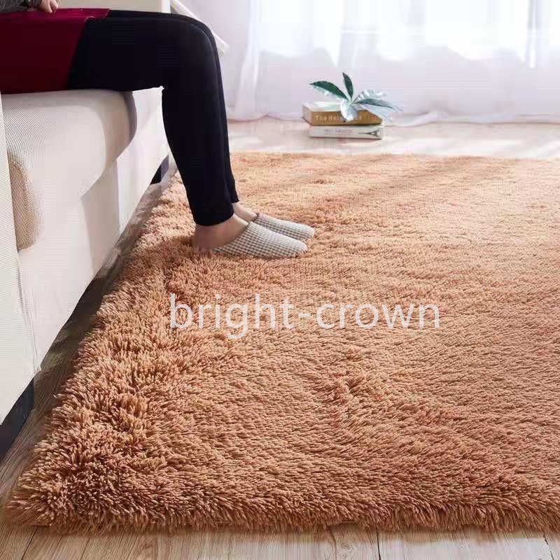 厂家批发加厚水洗不掉色丝毛地毯地垫卧室客厅门厅地毯地垫可定制