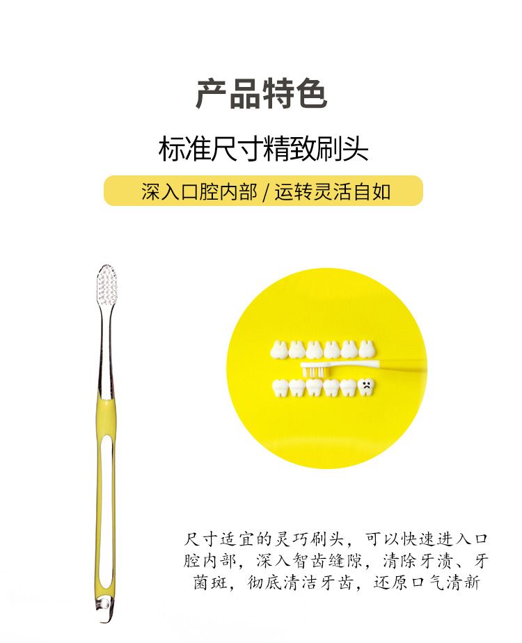 【2支装特价】日本进口和风雅品超极细软毛牙刷标准刷头除牙垢护牙龈成人牙刷详情4