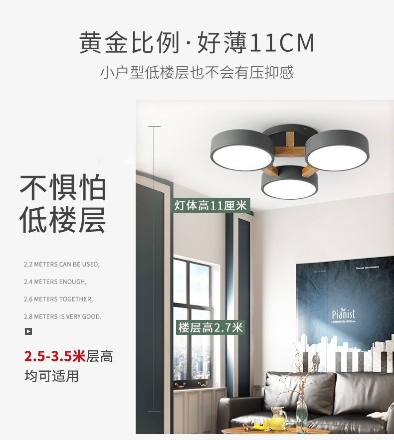 Nordic bedroom ceiling lamps, simple and modern small-sized living room and dining room lamps, Japanese grand and personalized room lighting fixtures detail image 2