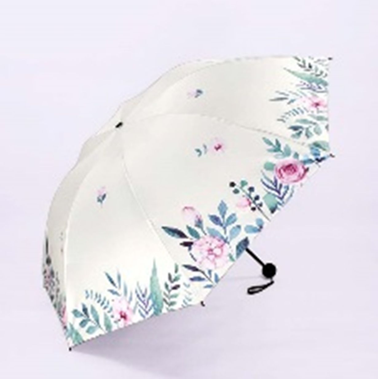 Yiwu good Goods leisurely style - rice clear umbrella /10160