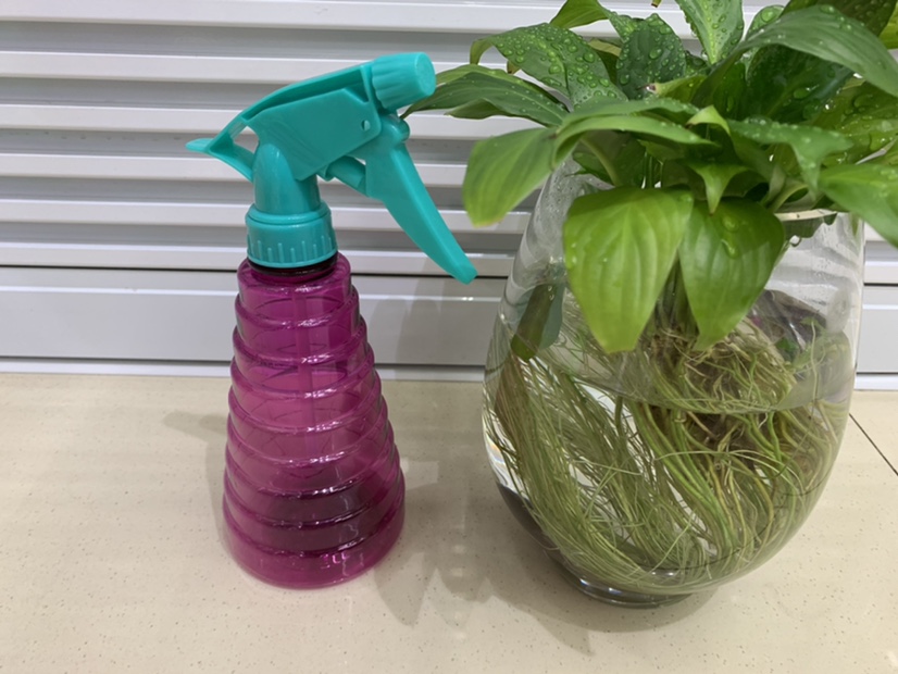 300ml园艺喷壶，彩色锥形