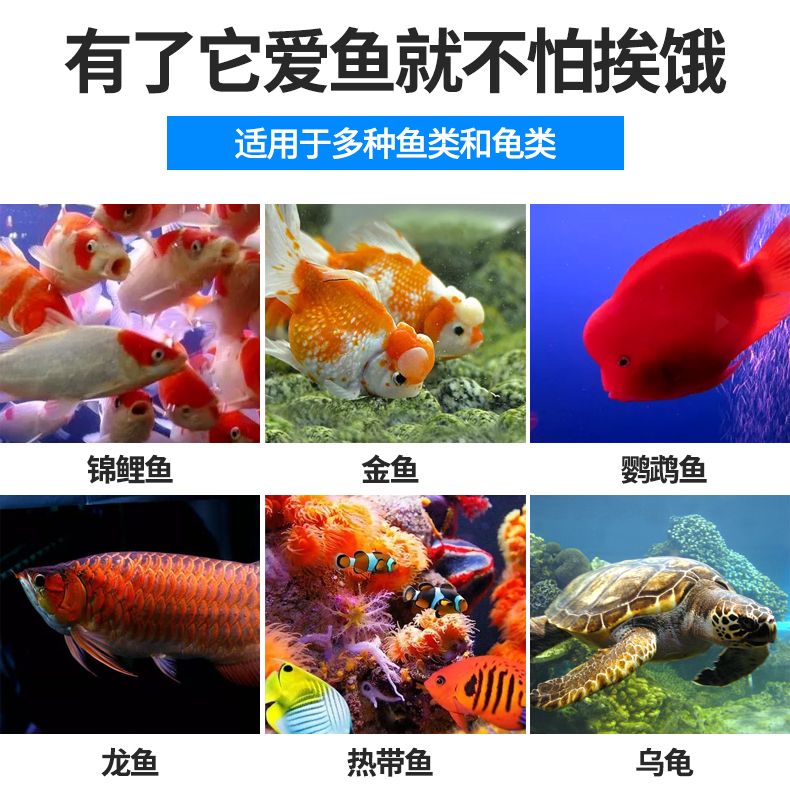 Fish tank automatic feeder, aquarium intelligent feeder, essential household feeder for timed and quantified outings pic 2