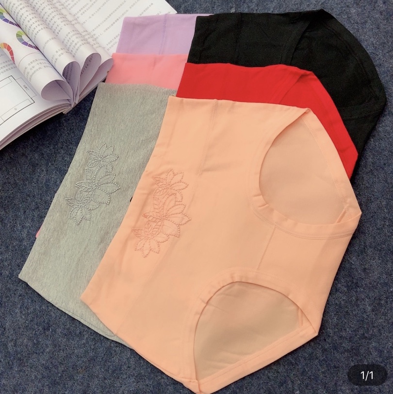 621 Women's Cotton Briefs