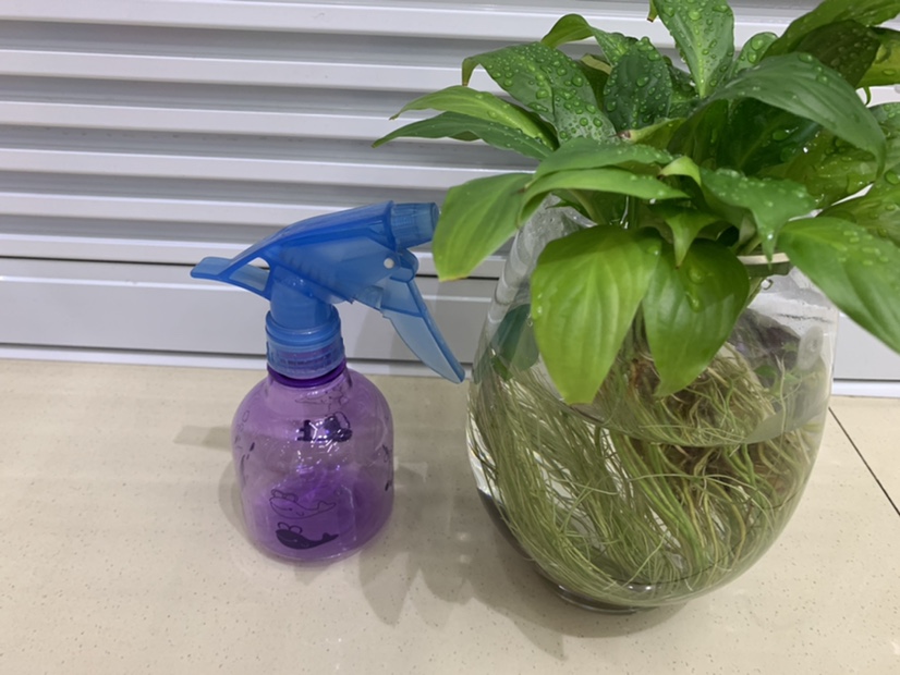 250ml印花园艺喷壶