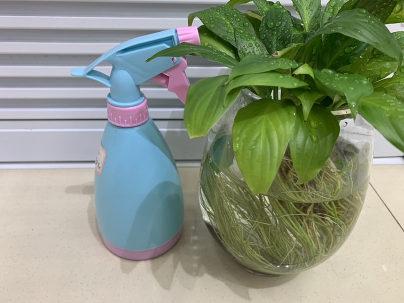 300ml园艺喷壶，蓝色