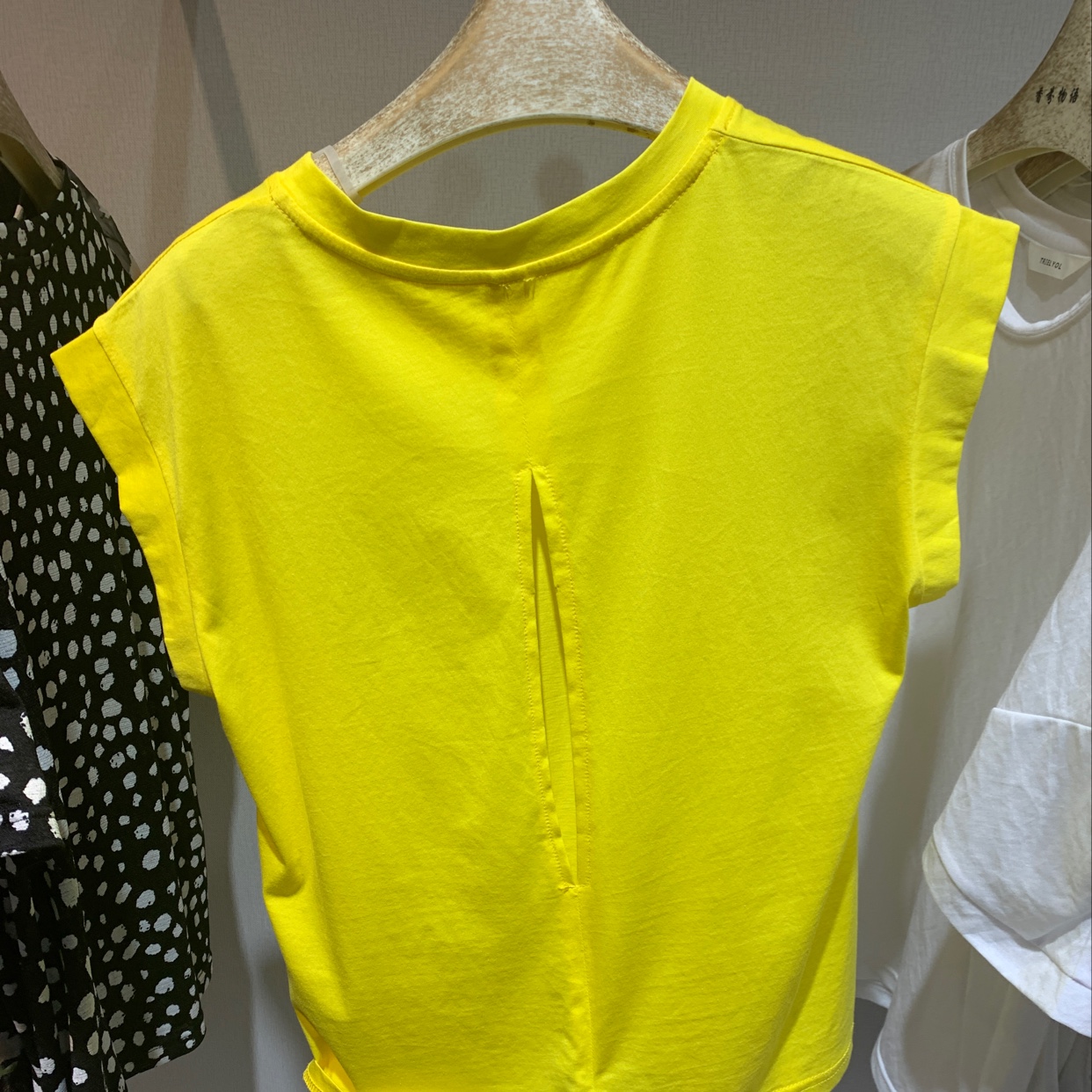 三色蝴蝶结D字母T产品图