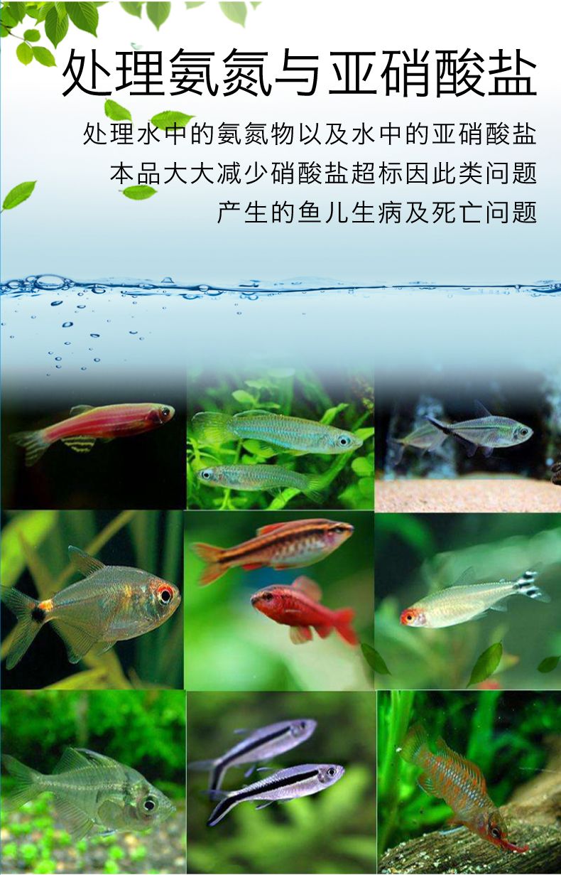 净水丸鱼缸水质清洁水族箱杀菌过滤除臭净水材料水族附件详情图11