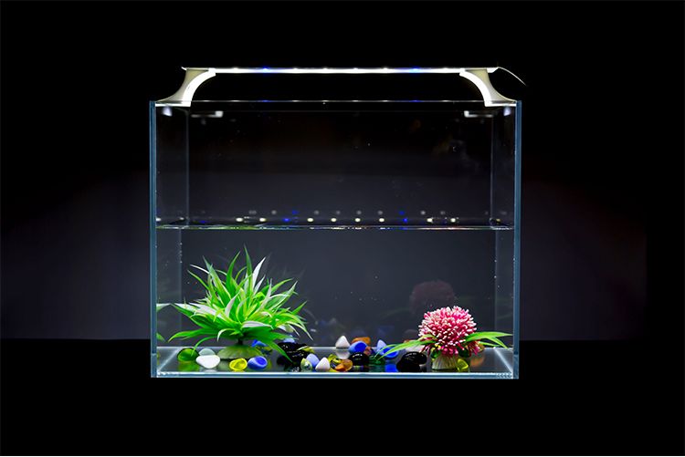 LED fish tank stand light, PVC aluminum alloy stand light, ultra-thin aquarium LED light, professional lighting for aquatic plants detail image 19