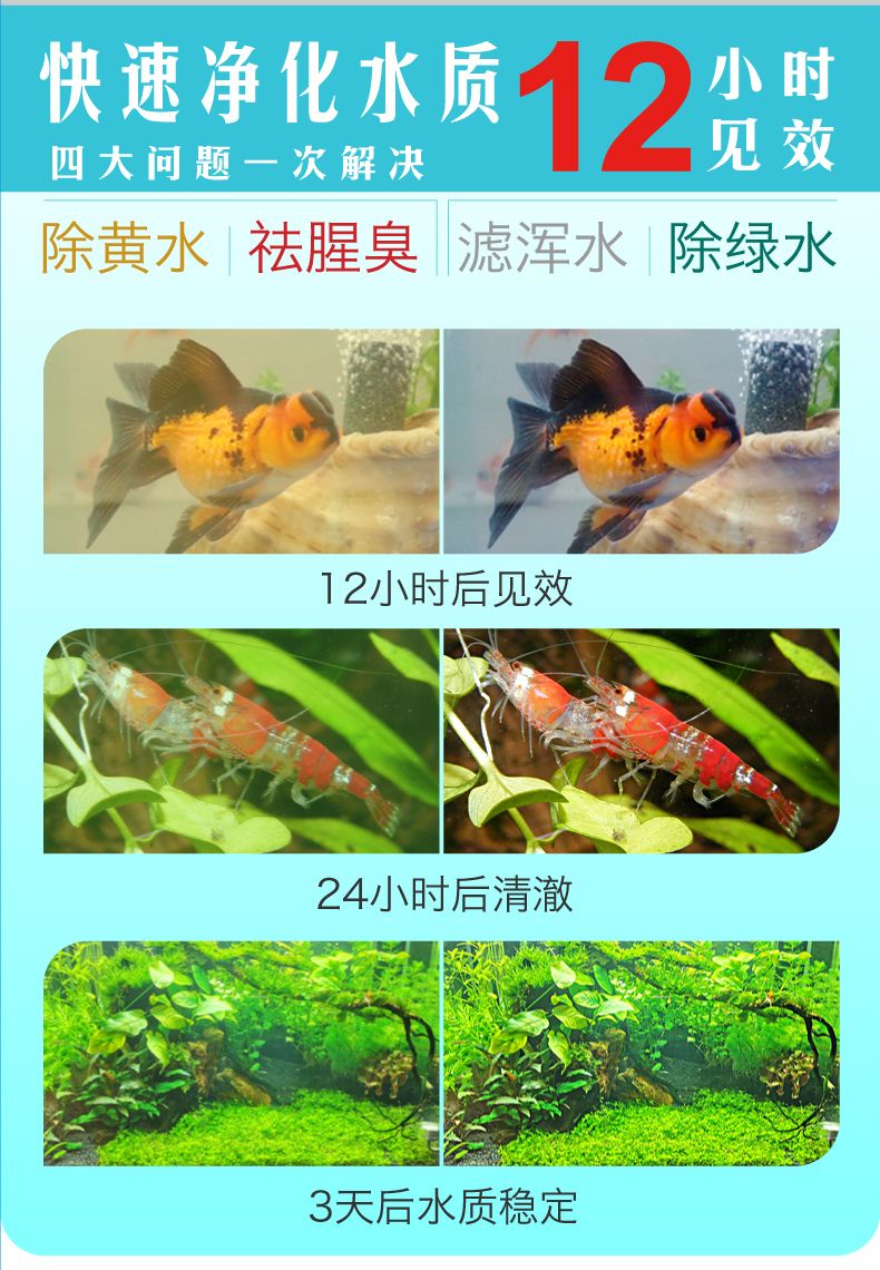 净水丸鱼缸水质清洁水族箱杀菌过滤除臭净水材料水族附件详情图1