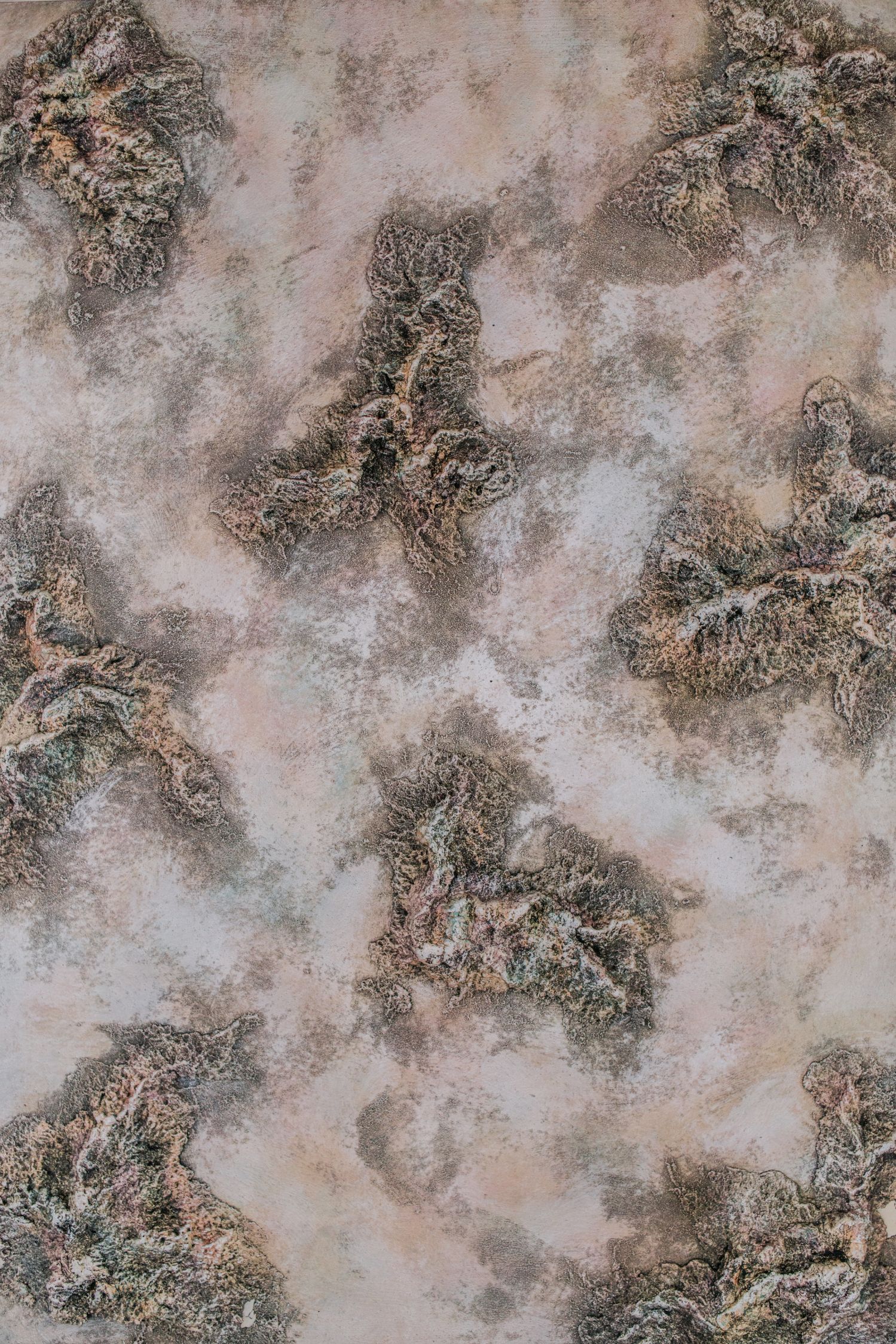 涂料/艺术漆细节图
