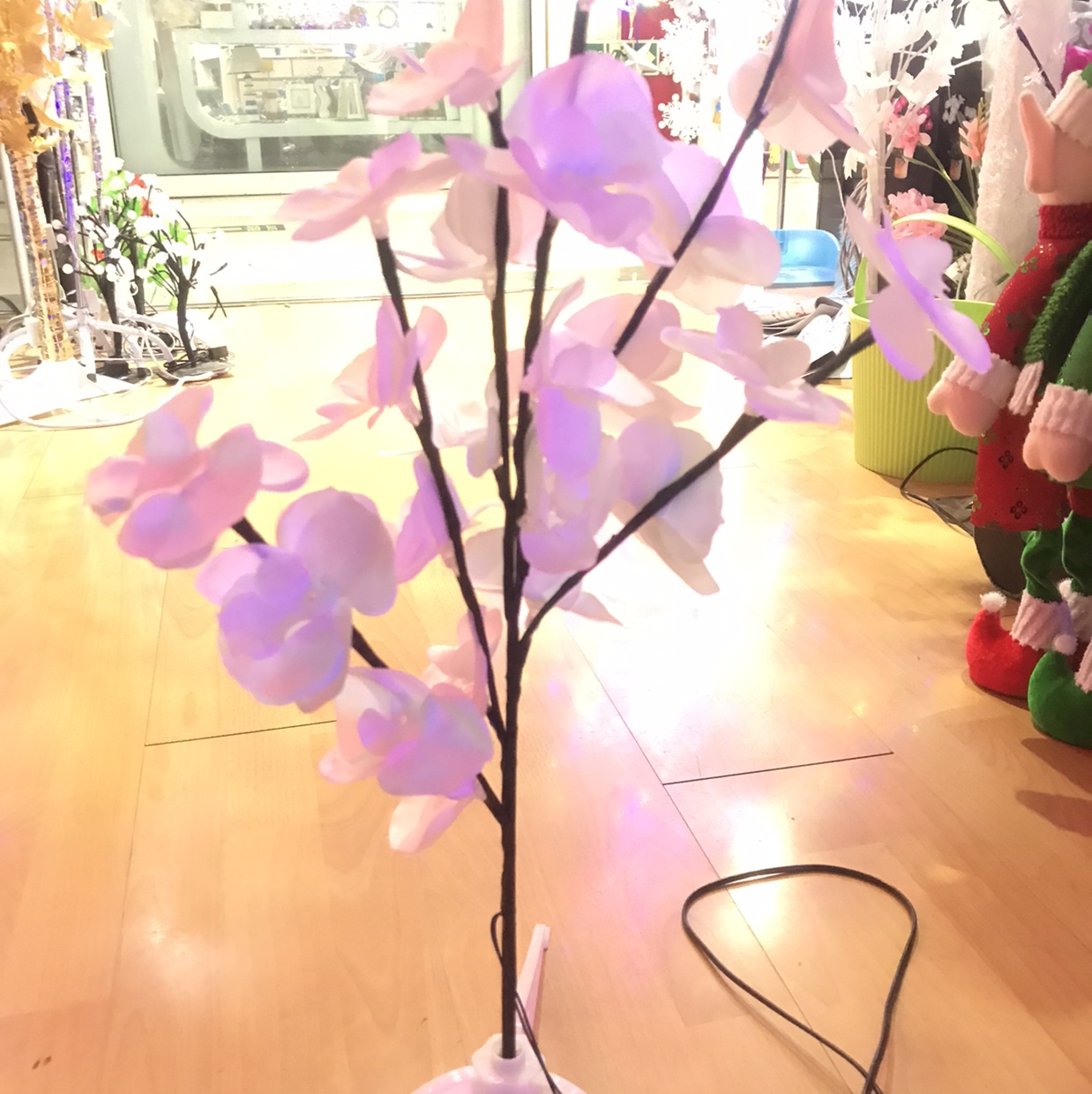 70 cm small tree thumbnail