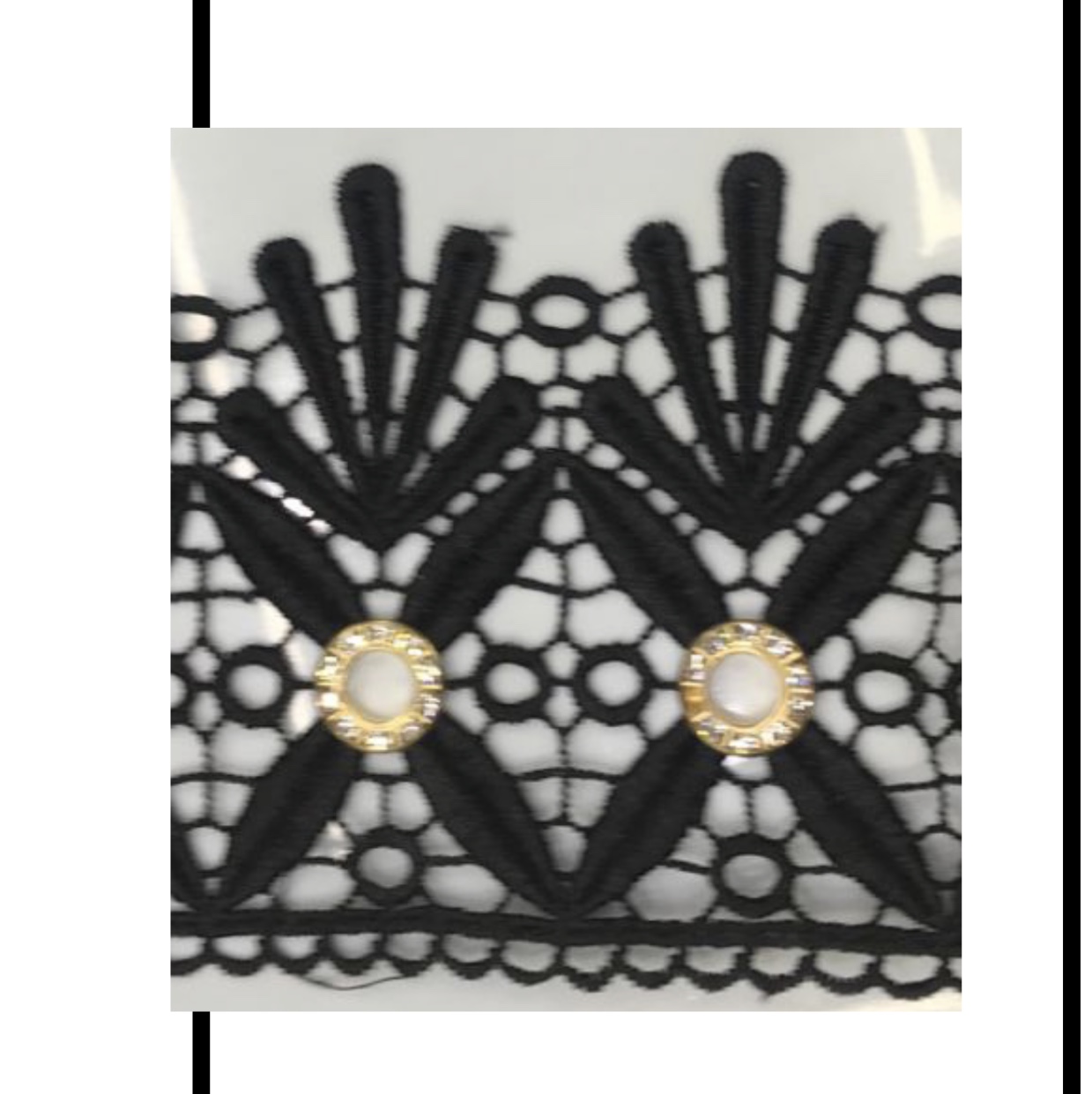 Polyester Lace details Picture