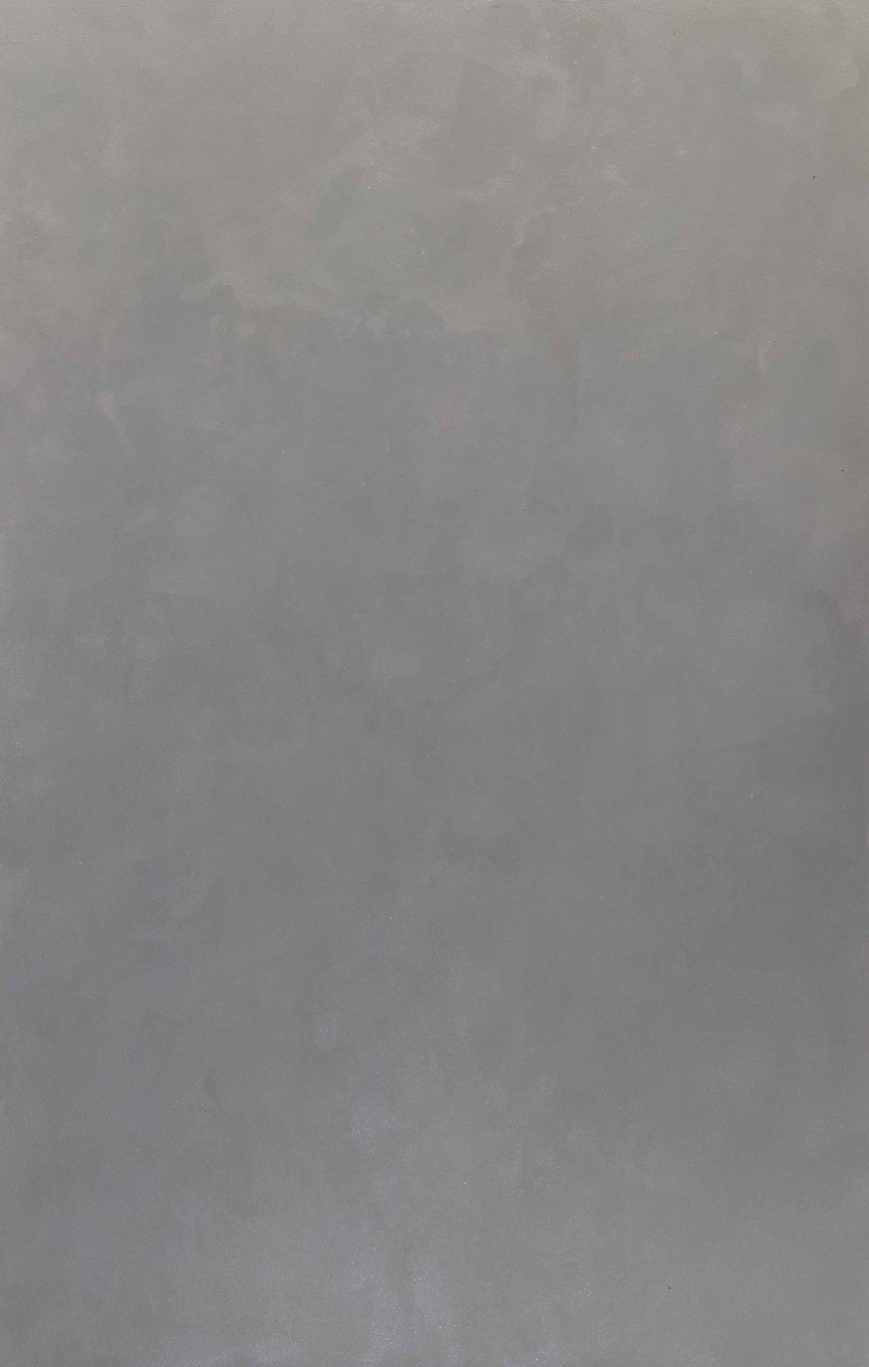 铂芙迪兰系列艺术涂料义乌市铂芙装饰材料商行图