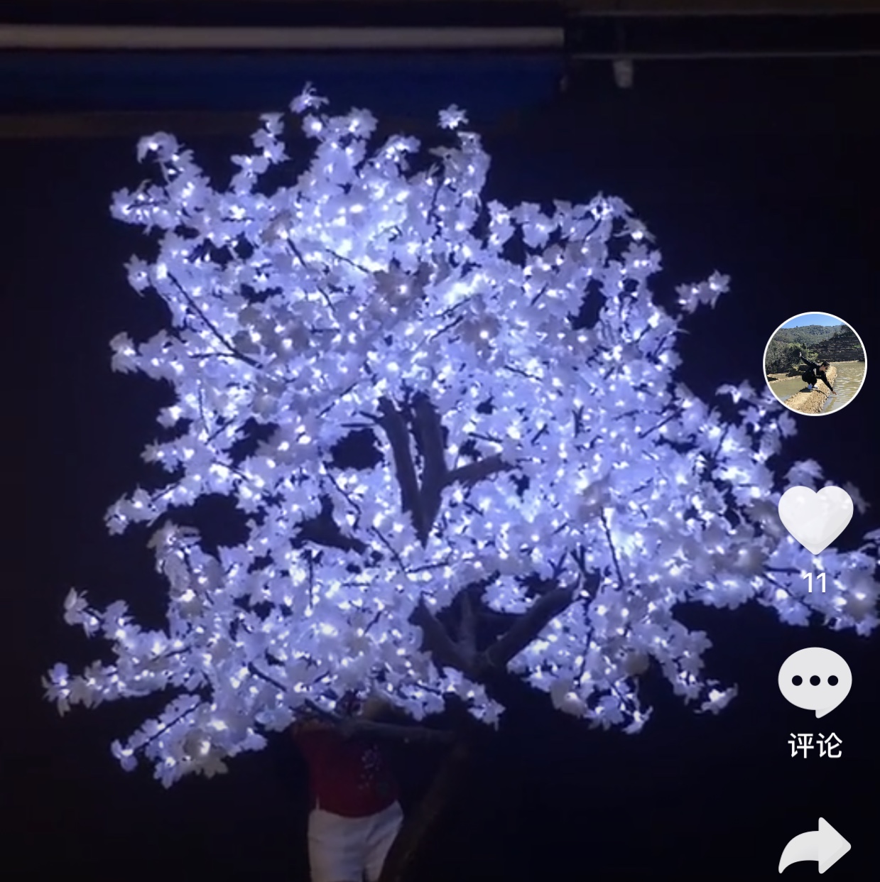 3 m maple leaf thumbnail