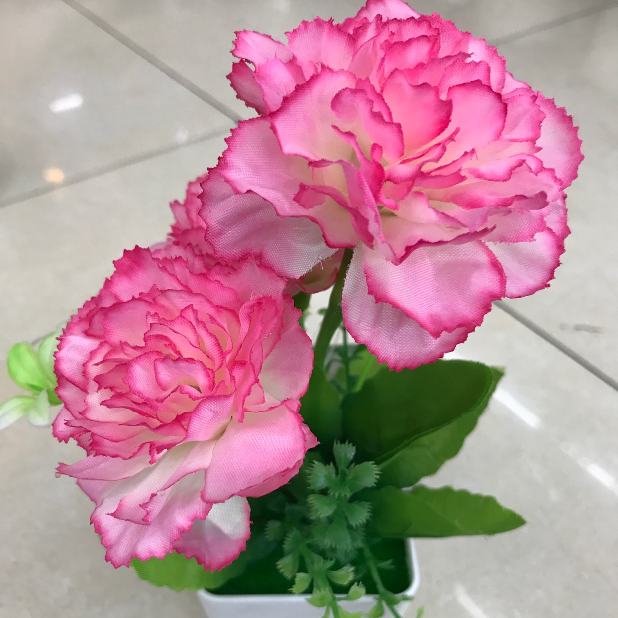 Three-headed carnations thumbnail