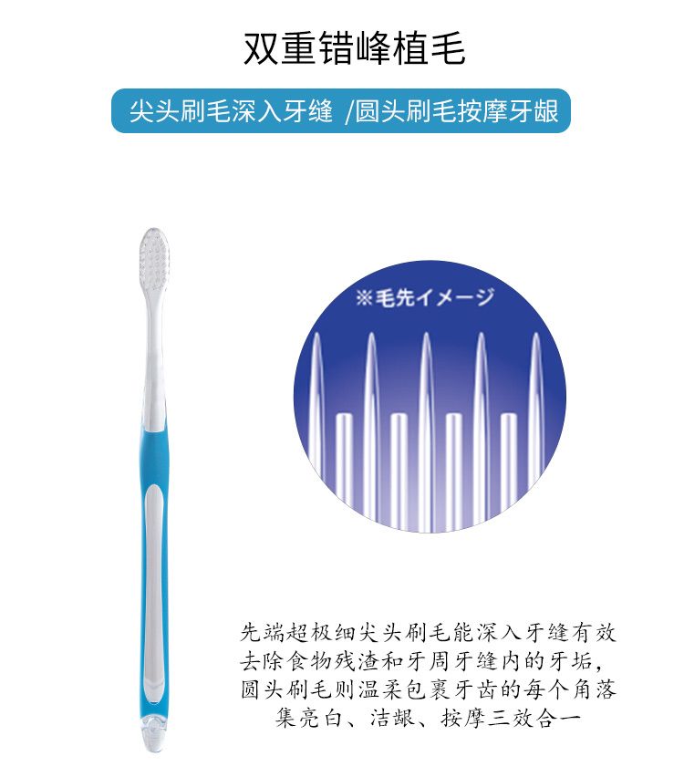 【2支装特价】日本进口和风雅品超极细软毛牙刷标准刷头除牙垢护牙龈成人牙刷详情6