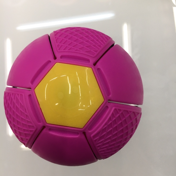 飞碟、飞盘、竹蜻蜓实物图