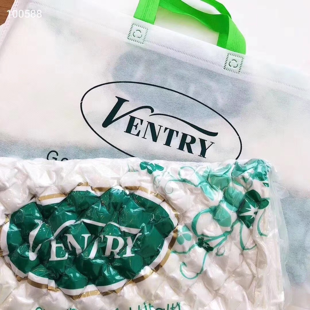Thai latex pillow of brand V undefined