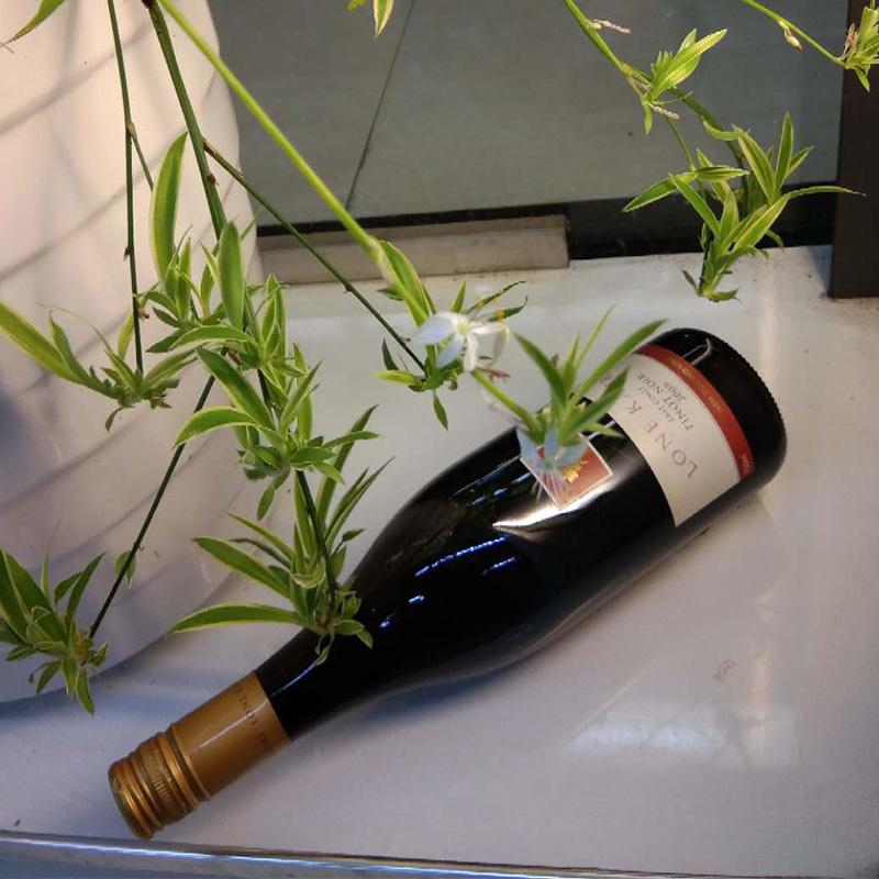 新西兰原装进口红酒——珍贝杉黑比诺白底实物图