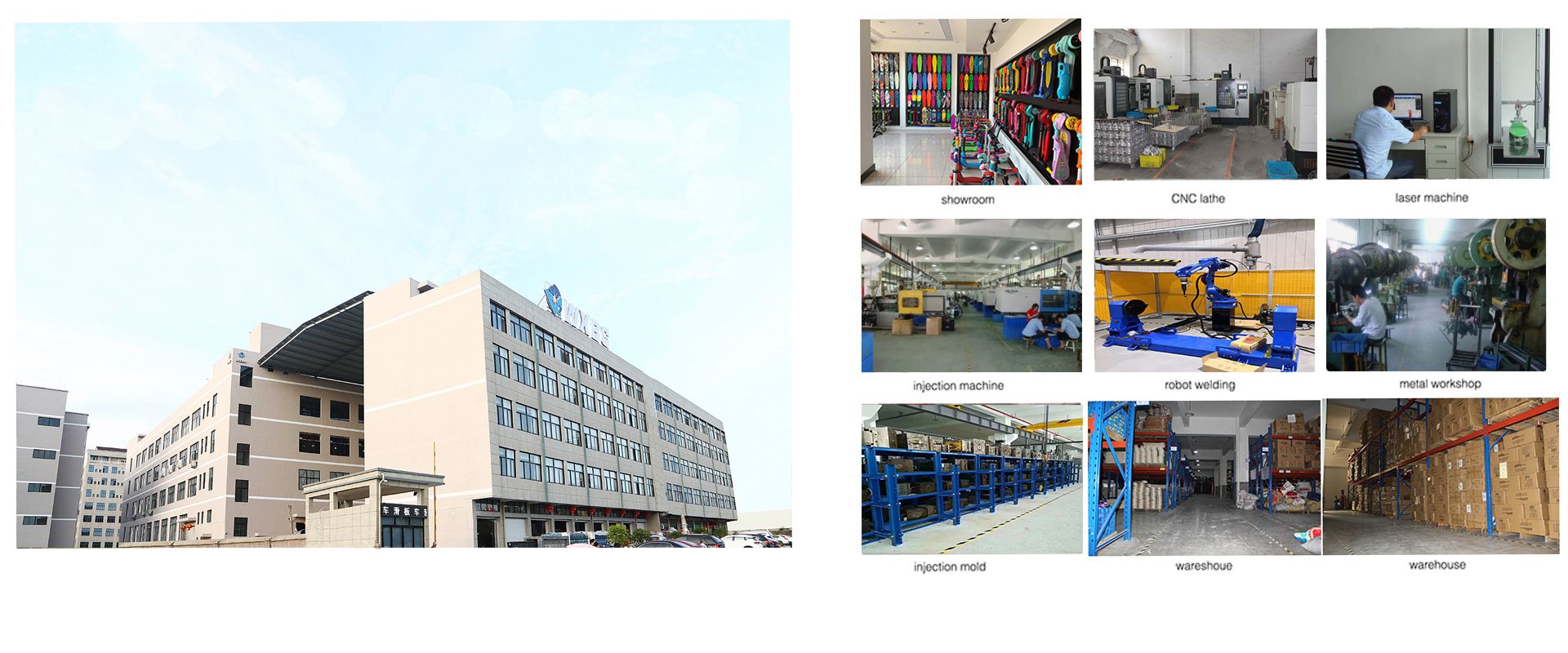 Professional extreme skateboard stunts, fancy adult transportation, two-wheeled street brushing detail image 5