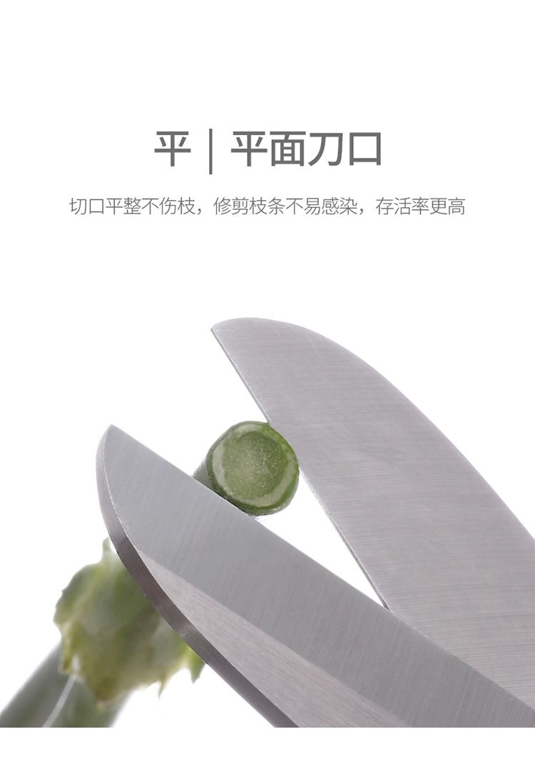 园艺花艺剪刀宽头家用花剪鲜花花道剪花枝树枝修花修枝工具详情图3