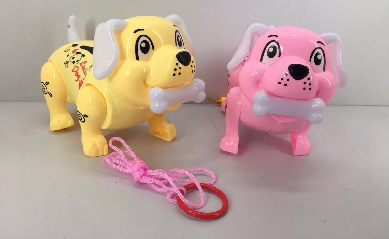 A bone dog walks on a leash