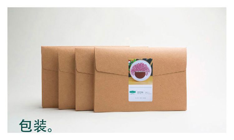 芭蕉叶详情图10