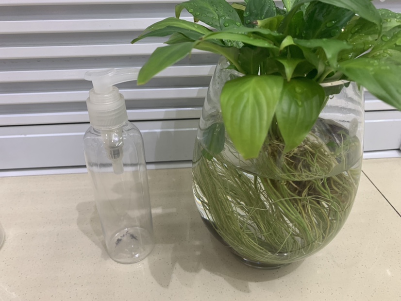 洗发水沐浴露瓶150ml，pet材质