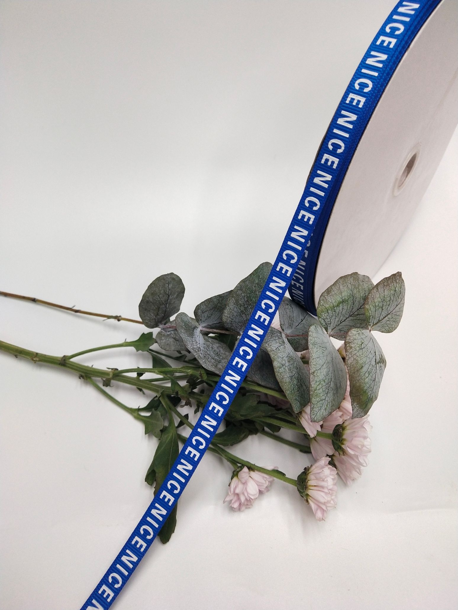 1公分宝蓝螺纹印字母NICE头饰耳环辅料包装丝带