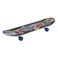 3108板四轮滑板木滑板公路板双翘凹板刷街板溜溜板活力板鱼形板图