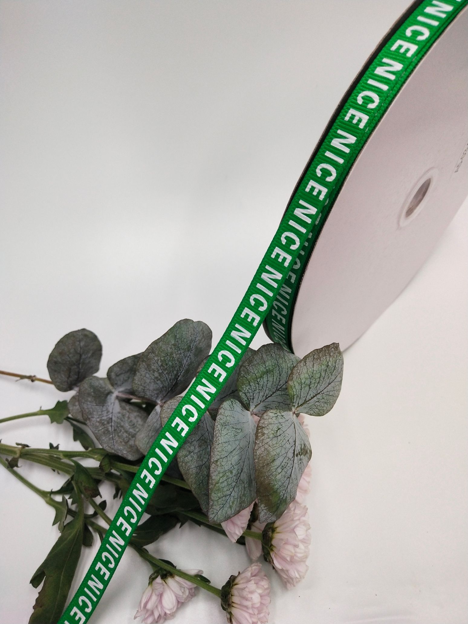 1公分绿色螺纹印字母NICE头饰耳环辅料包装丝带