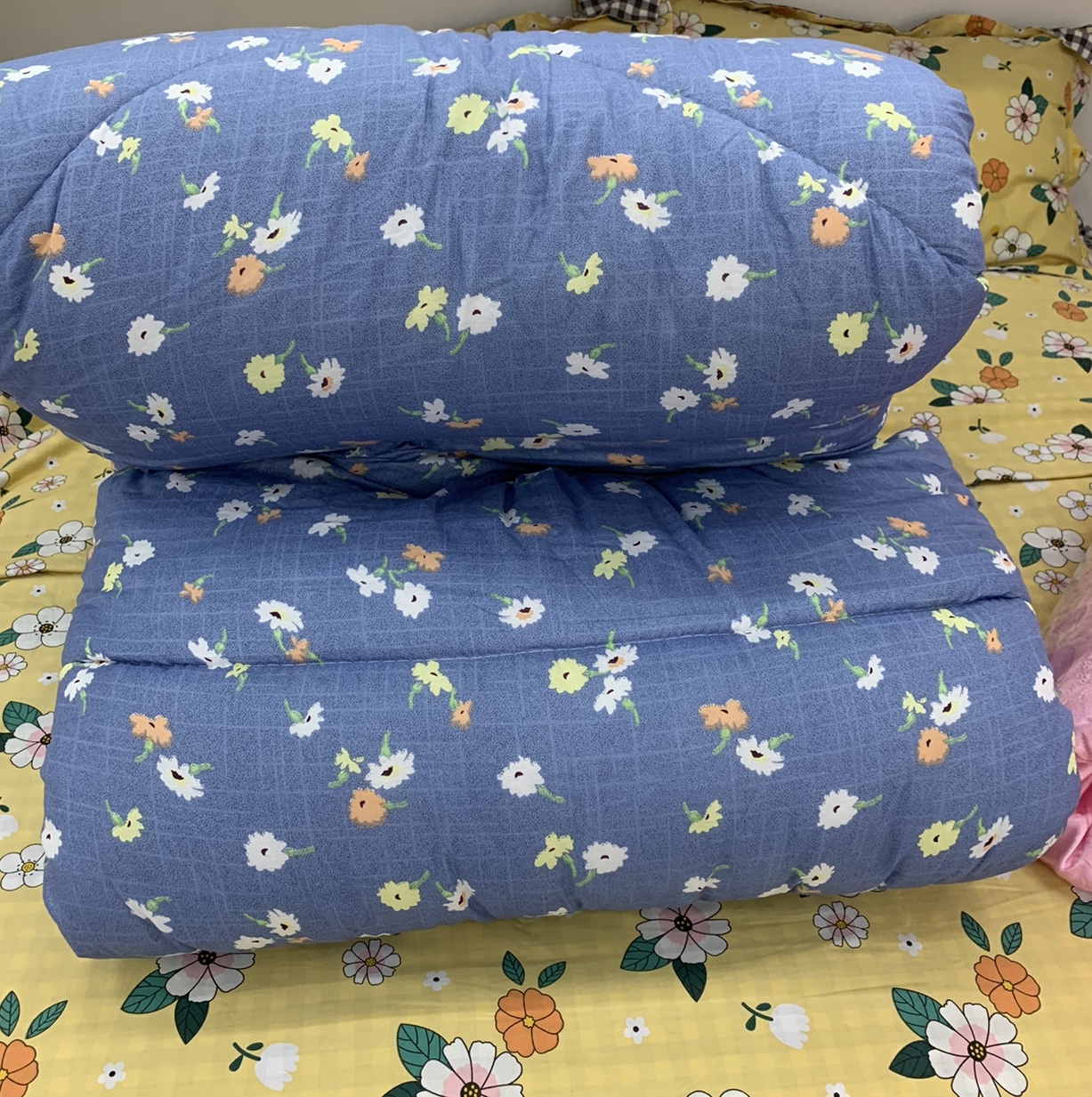 Diamond velvet winter quilt details Picture