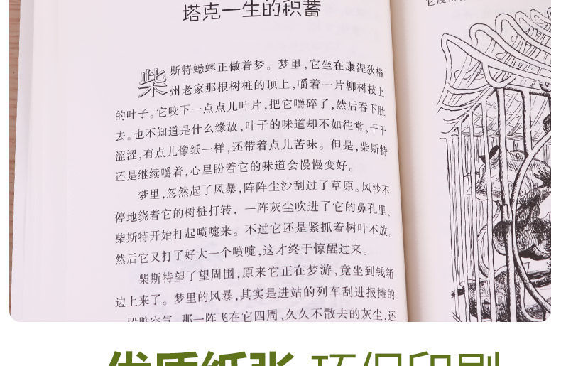 时代广场的蟋蟀小学生课外阅读书籍三四年级必读经典书目儿童读物