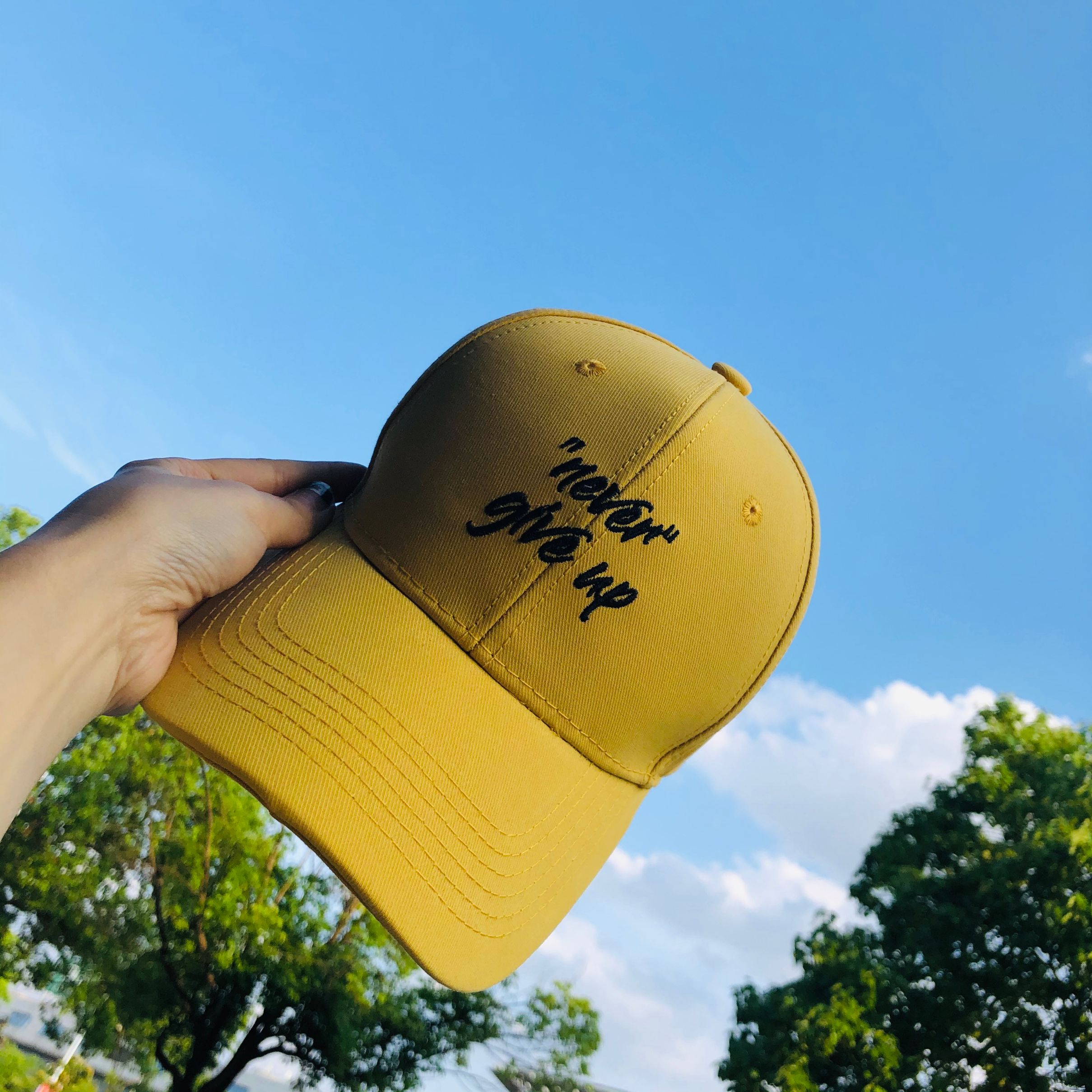 never give up永不放弃姜黄