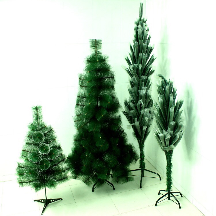 There are 120 pine needle trees 1.2 meters tall Application Scenario