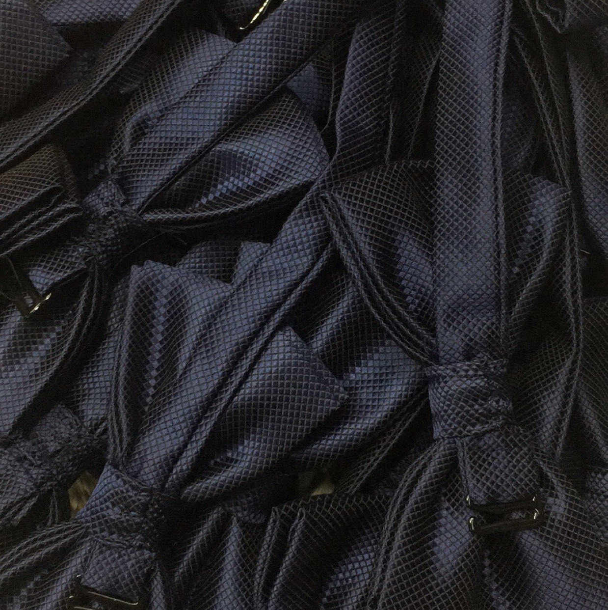 Black jaw knot