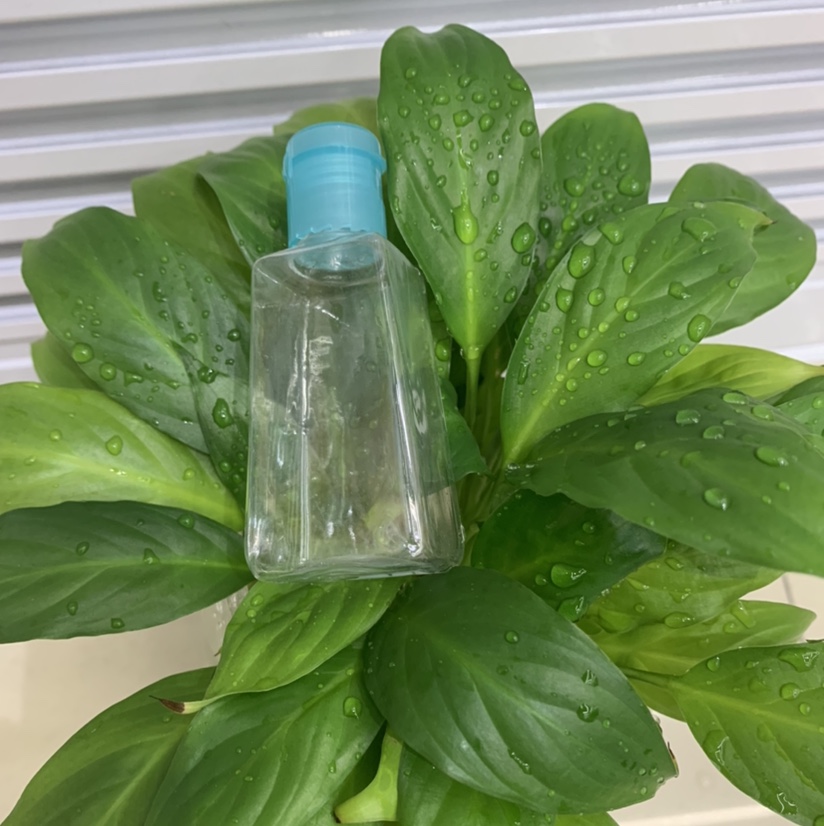 29ml免水洗手液瓶