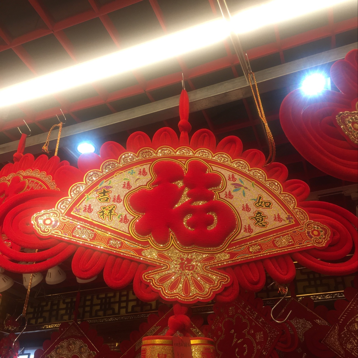 Big Fan-Shaped Fish