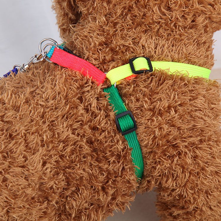 Factory direct sales of pet leashes, small dog seven-color chest straps, Teddy Bear leashes, and wholesale pet supplies Specification image