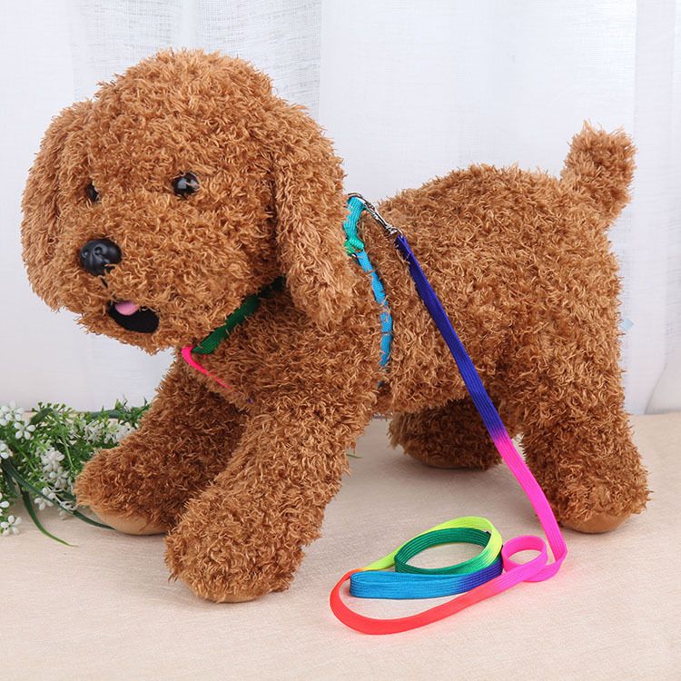 Factory direct sales of pet leashes, small dog seven-color chest straps, Teddy Bear leashes, and wholesale pet supplies details Picture