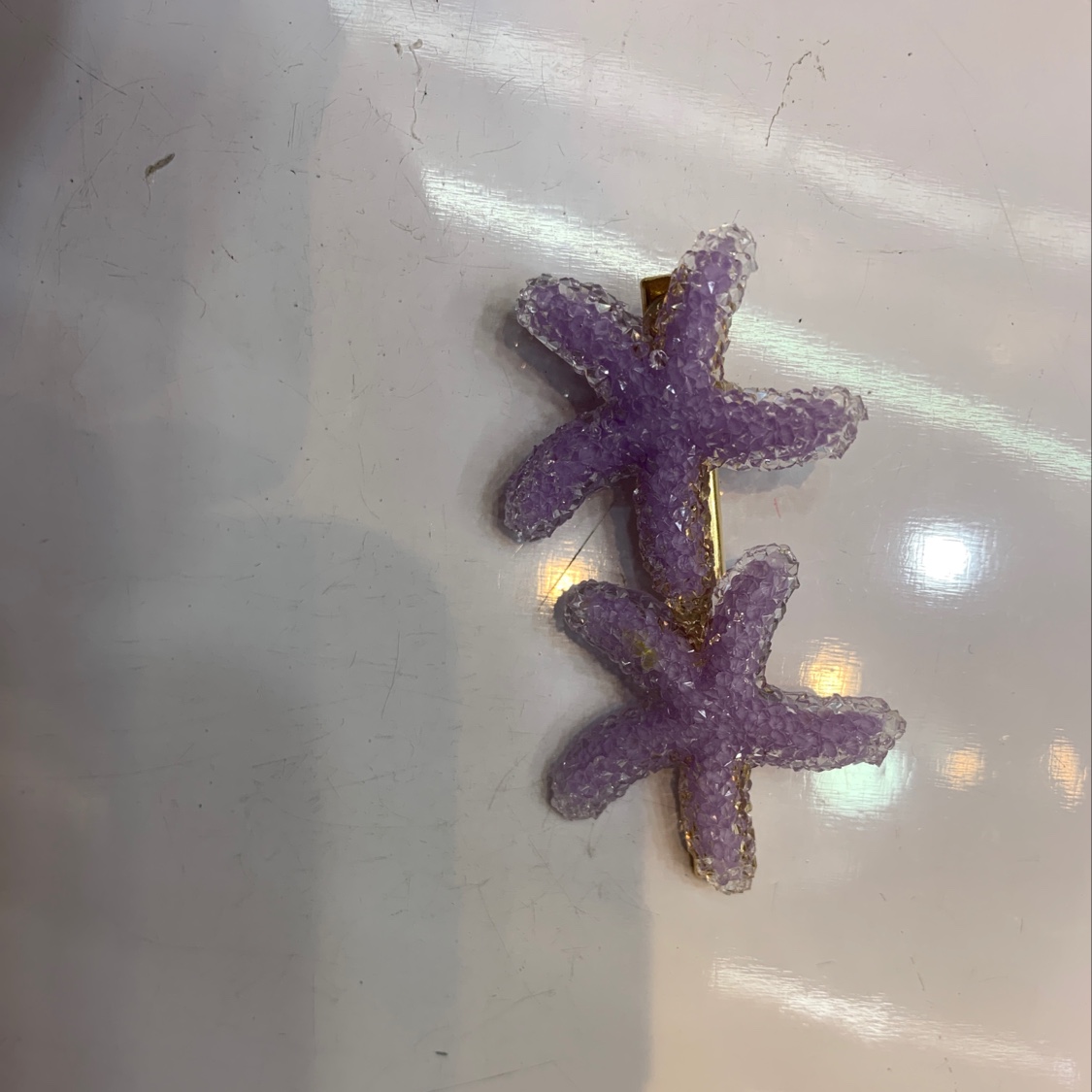 海星