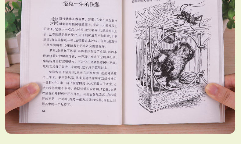 时代广场的蟋蟀小学生课外阅读书籍三四年级必读经典书目儿童读物