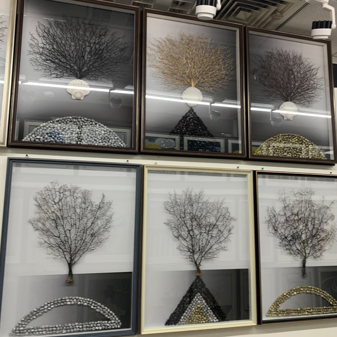 高档海铁树装饰画 客厅厨房 65*85