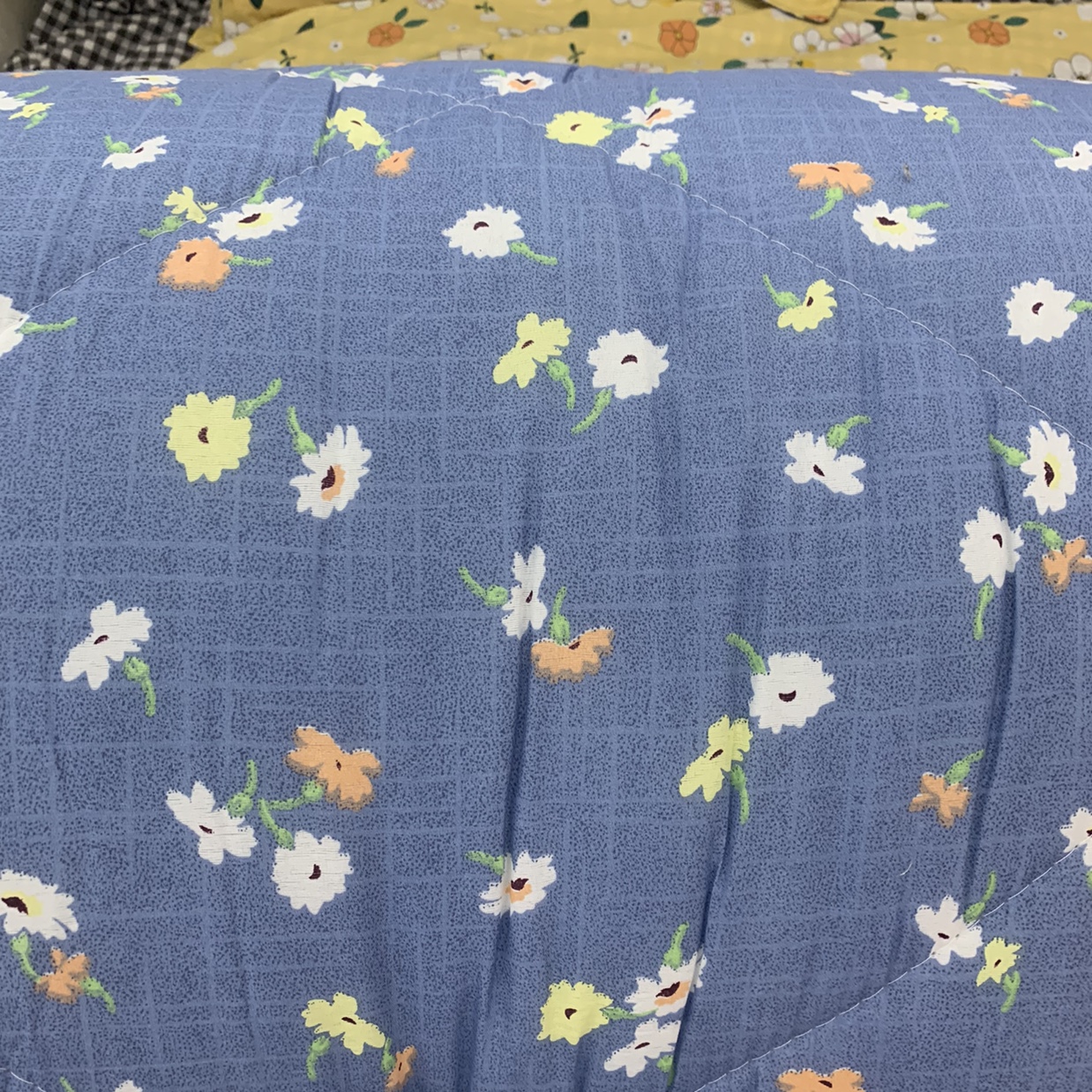 Diamond velvet winter quilt Application Scenario