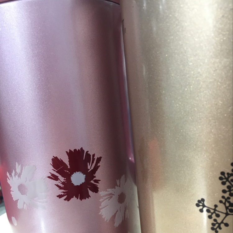 Garrett GT-3092-200 thermos flask details Picture