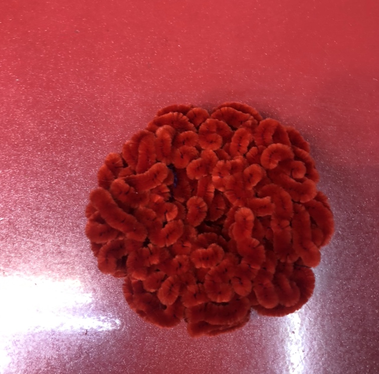 Red loop thumbnail
