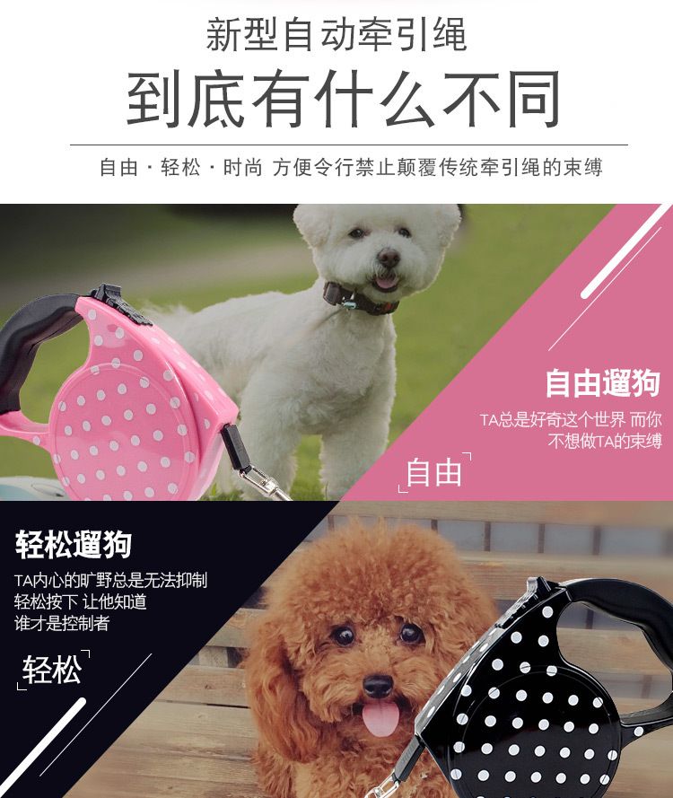 宠物用品厂家现货直销 可伸缩便捷宠物牵引绳 印花狗狗自动牵引器详情图2