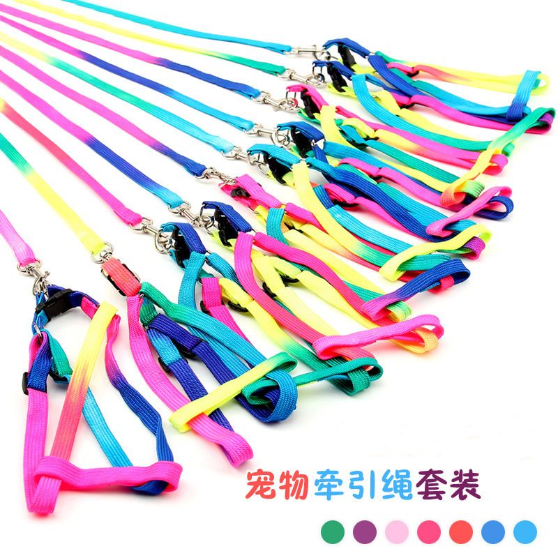 Factory direct sales of pet leashes, small dog seven-color chest straps, Teddy Bear leashes, and wholesale pet supplies