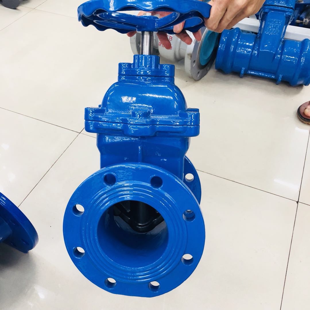 Dark bar soft seal gate valve DN50 Application Scenario
